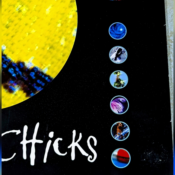 Vintage 1999 Dixie Chicks Fly Music Store Promo Double Sided Poster - Picture 5 of 7